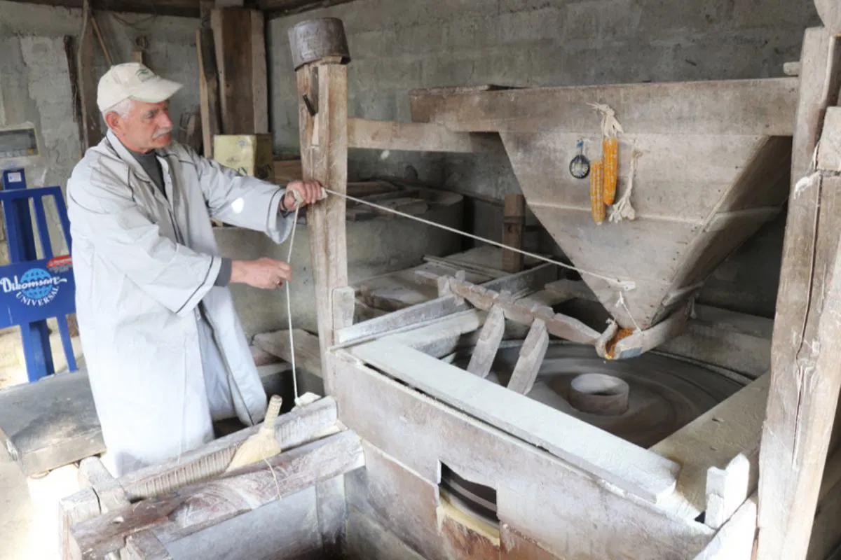 Cumayeri Dokuzdeğirmen Köyü Tarihi Su Değirmeni