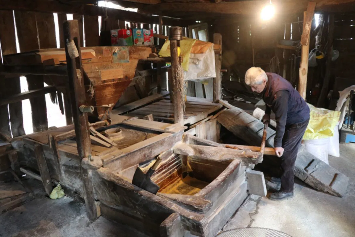 Cumayeri Dokuzdeğirmen Köyü Tarihi Su Değirmeni